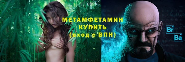 прущие грибы Мегион