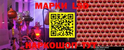 шишки Абакан