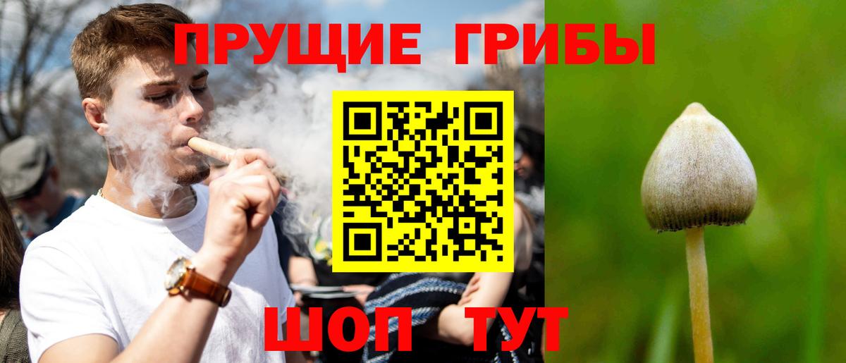 Галлюциногенные грибы мухоморы  Вход с VPN  Кандалакша 